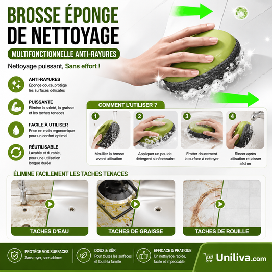 Brosse Éponge de Nettoyage Multifonctionnelle Anti-Rayures