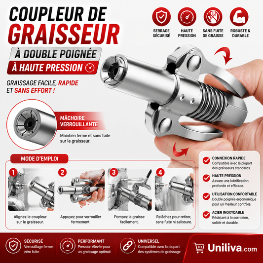 Coupleur de Graisseur à Double Poignée à Haute Pression